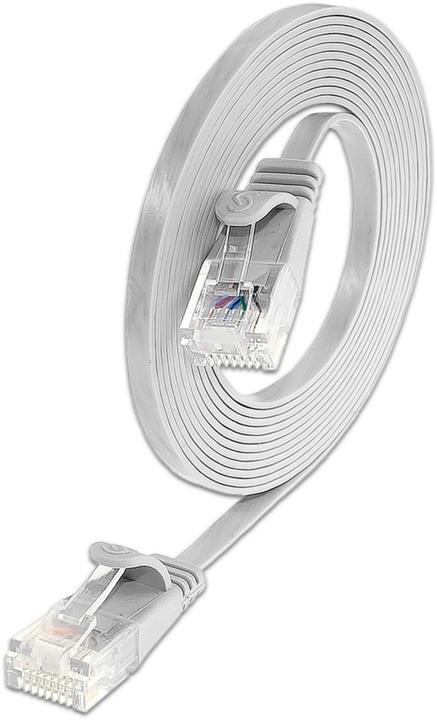 Actual product image Lightwin Network cable (UTP, CAT6, 0.25 m)