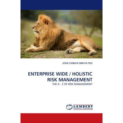 Enterprise Wide / Holistic Risk Management, Fachbücher von John Chibaya Mbuya