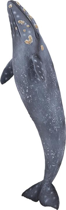 Produktbild Animal Planet Grauwal