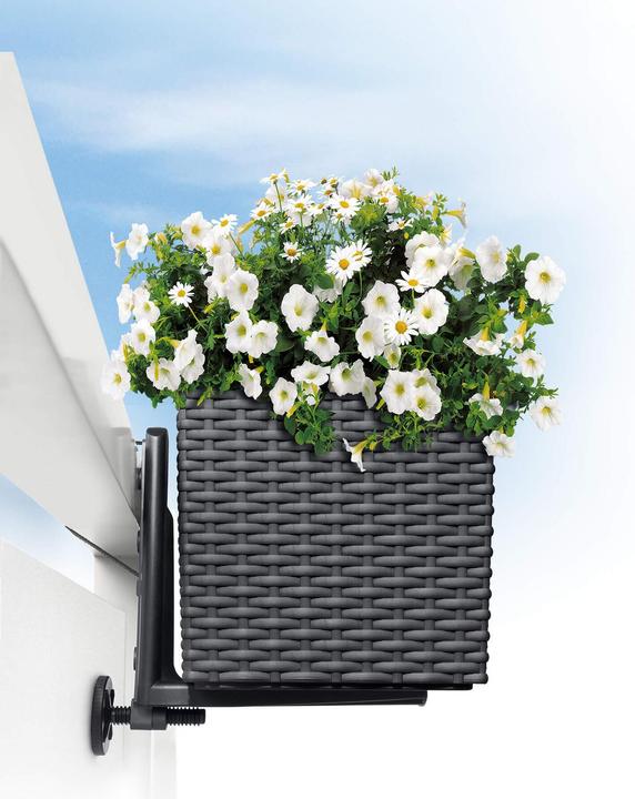 Actual product image Lechuza Balcony box holder for Balconera