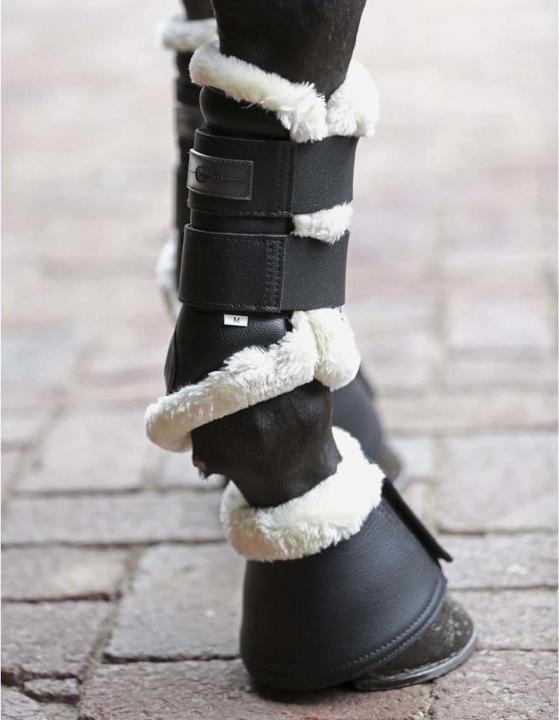 Productafbeelding Covalliero Holly