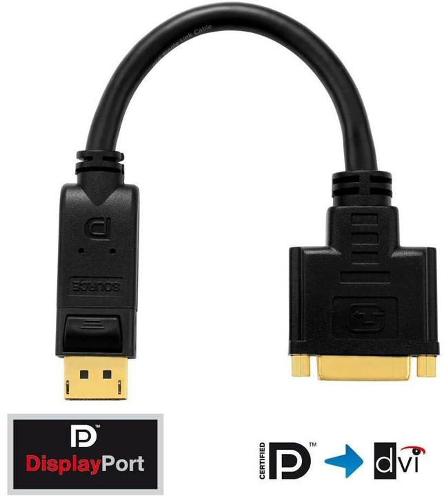 Actual product image Purelink PureInstall DisplayPort to (DVI, 10 cm)