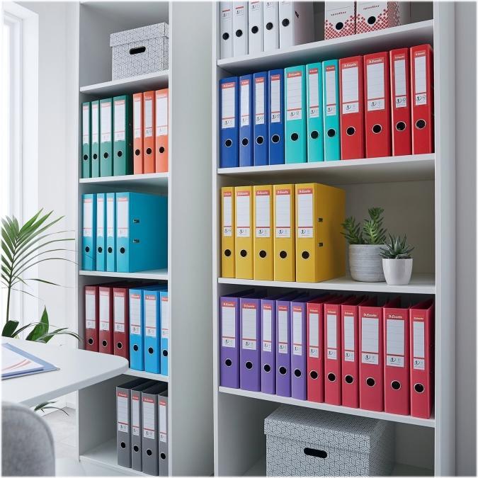 Immagine prodotto Esselte Registratore con meccanismo a leva n. 1 in PP (A4, 75 mm, 1 pz.)