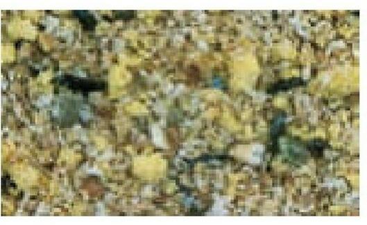 Produktbild Schweizer Ziervogelfutter Sittichkraftfutter, 5 kg (1x, 5 kg)