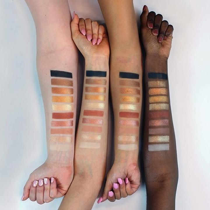 Actual product image Profusion Cosmetics 10 Color Eyeshadow Palette Classics