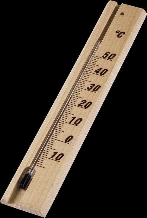 Actual product image Hama Thermometer