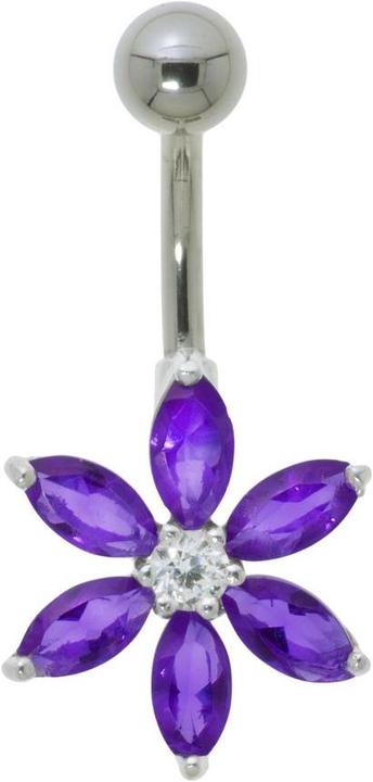 Viola