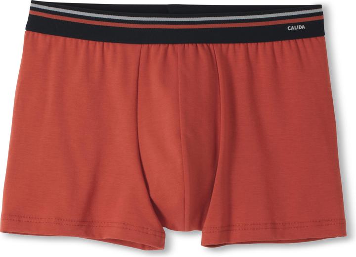 Immagine prodotto Calida Cotton Code (S)