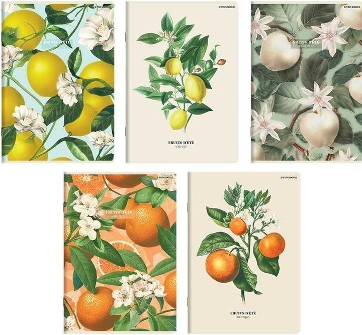 TOP Notizbuch A5/60K Sommerlinie (10 Stück) TOP2000 (A5, Righe)