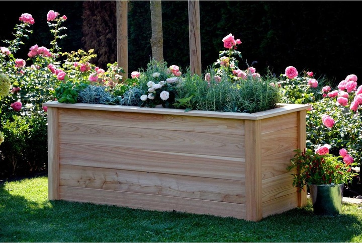 Actual product image Dobar Douglas fir