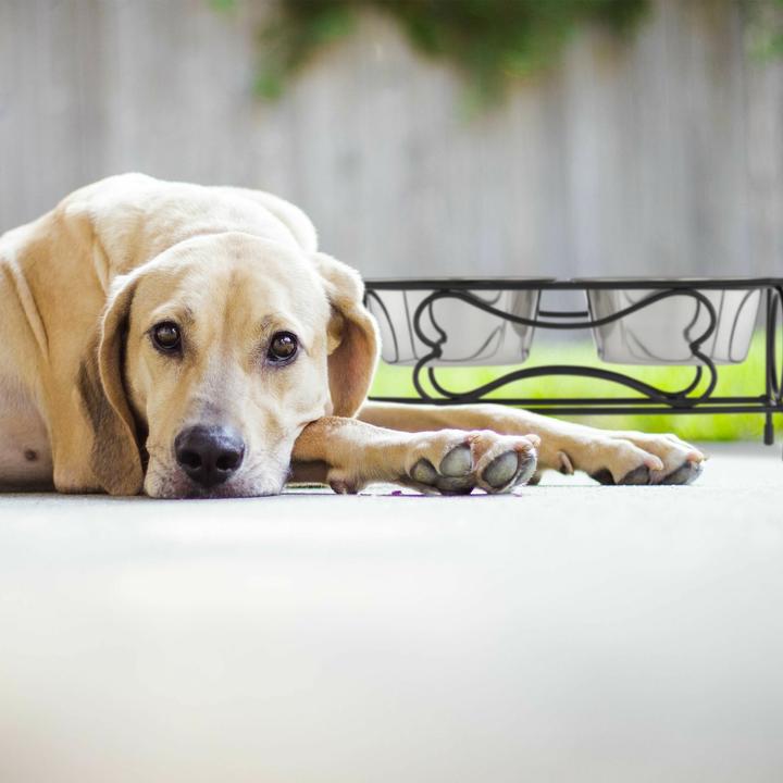 Produktbild Relaxdays Tischabfallbehälter (1.20 l)