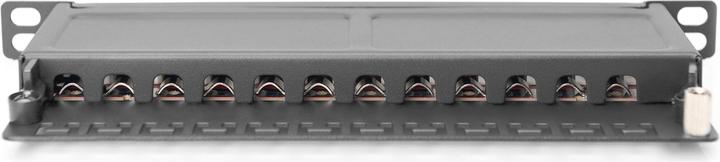 Produktbild Digitus Cat.6A Slim Patch Panel, geschirmt, 12-Port, 0,5 HE, 10", schwarz