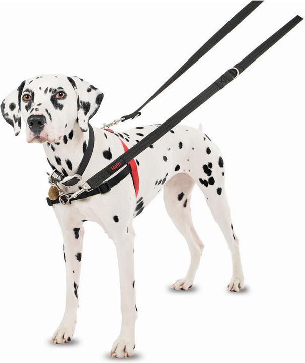 Produktbild Company of Animals Halti Antizug L Front Control (L, Hund, Spazieren)