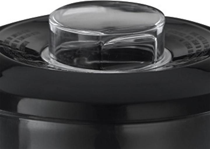 Actual product image Russell Hobbs 24722-56 (650 W)