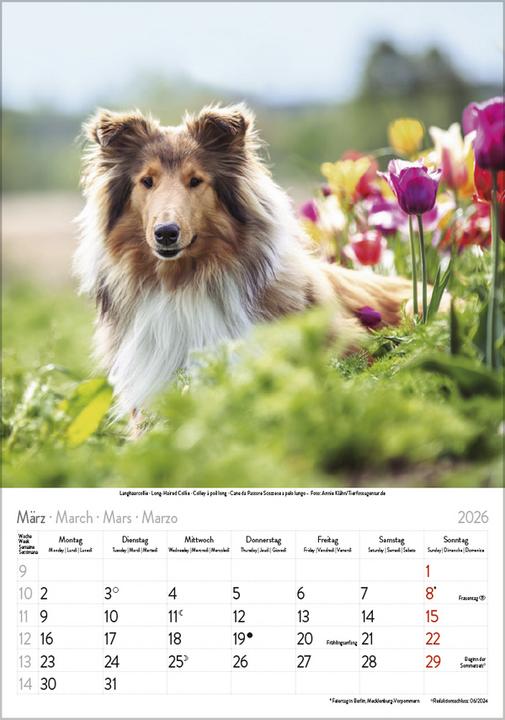 Image du produit Hunde 2026 (23,5 x 3 cm)