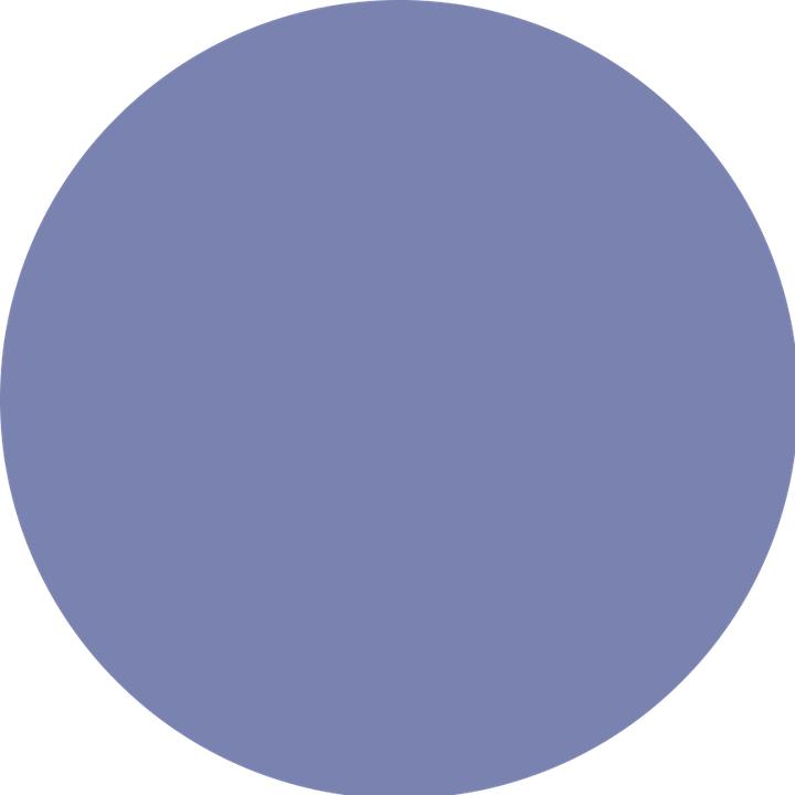 Actual product image Revlon Professional Revlonissimo - Colour Excel Gloss Acidic Gloss Treatment SILVER ASH Very Light Blonde Ash Intensive (SILVER ASH Very Light Blonde Ash Intensive)