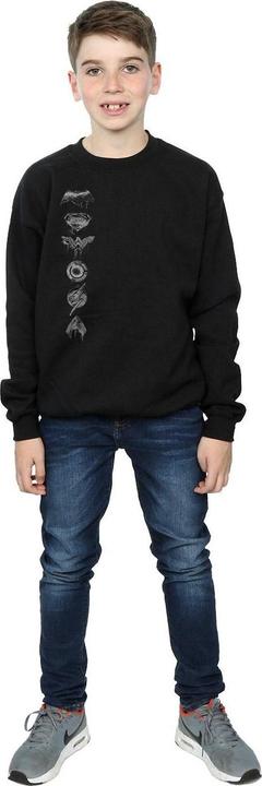 Produktbild Justice League Movie Sprayed Emblems Sweatshirt Jungen (140, 146)