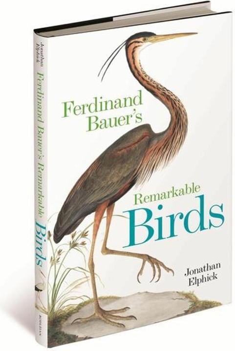 Immagine prodotto Ferdinand Bauer's Remarkable Birds (Inglese, Jonathan Elphick, 2024)