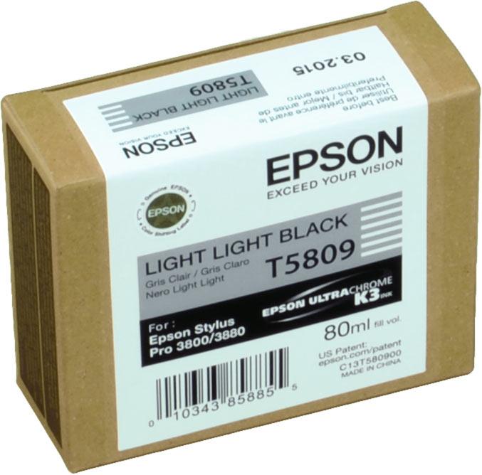 Image du produit Epson T5809 (CF, GY)