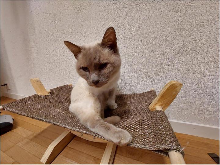 Produktbild Kerbl Hängematte SIESTA (Katze)