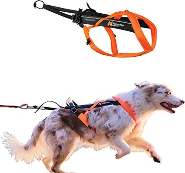 Image du produit Non-Stop Dogwear Harnais Freemotion 5.0 (5, S, Chien)