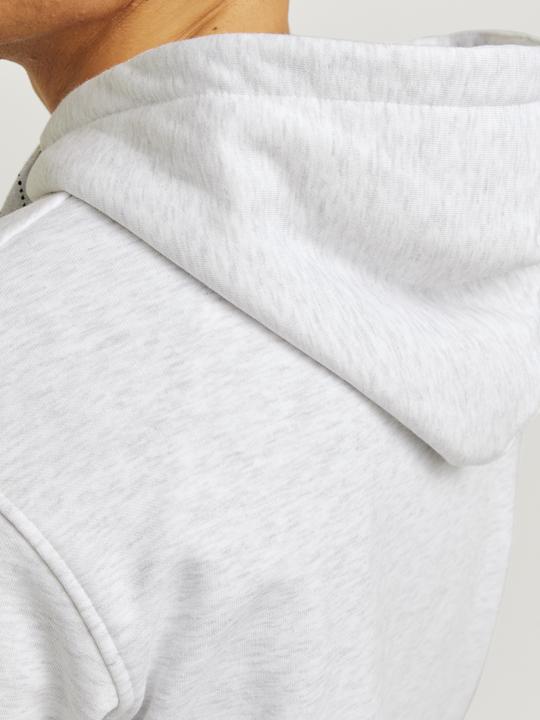 Immagine prodotto Jack & Jones Jorportland Block Sweat Hood Ln (S)