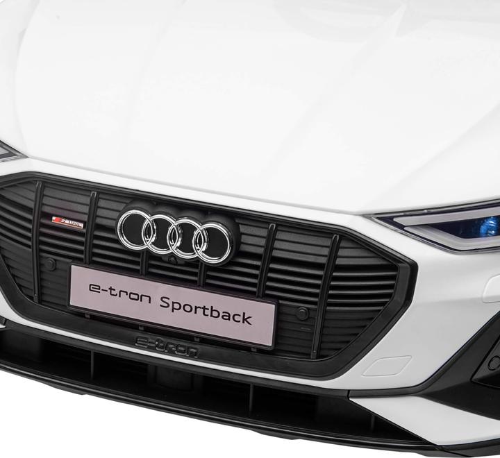 Image du produit Jamb Audi e-tron (12 V)