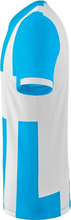 Immagine prodotto Erima Siena 3.0 Trikot (152)