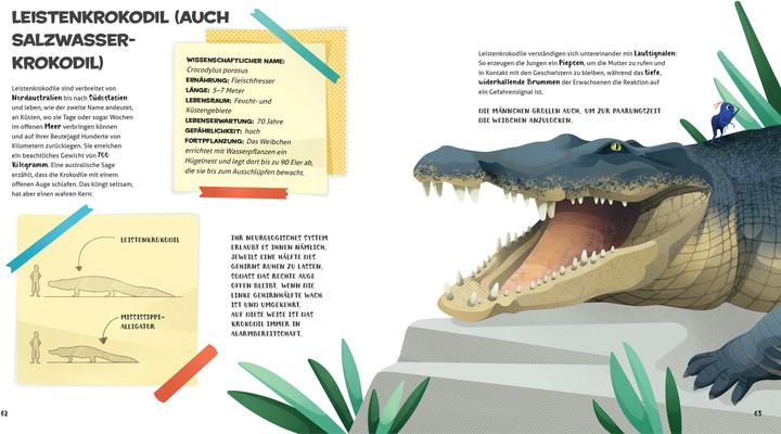 Produktbild National Geographic Besonders und wunderbar: Reptilien (Deutsch, Cristina Banfi, 2021)