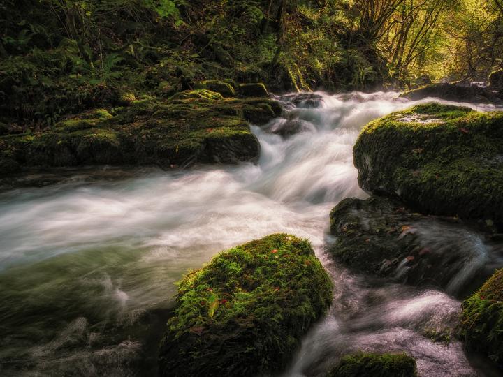 Produktbild Olympus ED 12-45mm F4.0 PRO (Micro Four Thirds, Micro Four Thirds)
