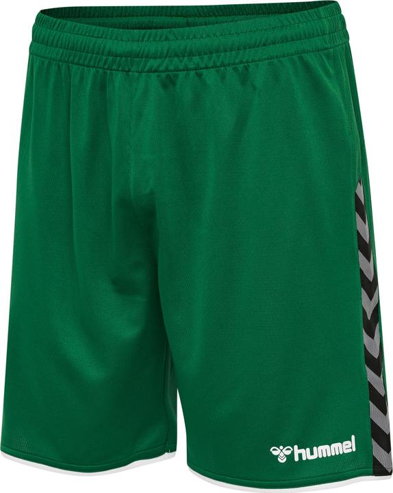 Actual product image hummel Authentic Poly Shorts (S)