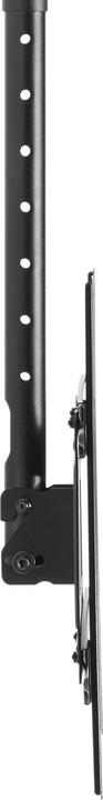 Actual product image Aisens Soporte Techo Giratorio Inclinable Extensible Monitor TV 50kg 37-80 Negro (Ceiling, 50 kg, 37" - 80")