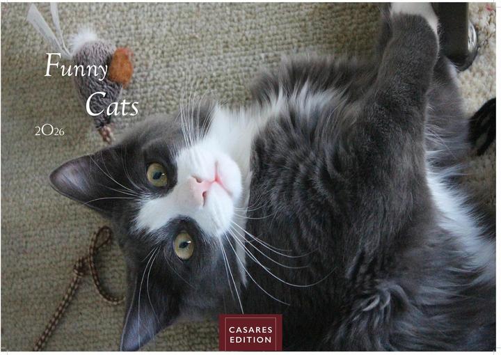 Immagine prodotto Funny Cats 2026 S 24x35cm (24 x 35 cm)