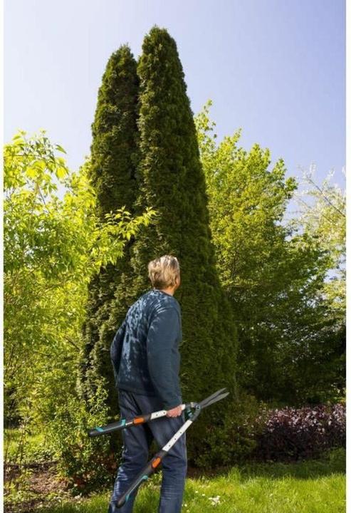 Actual product image Gardena TeleCut (Manual)