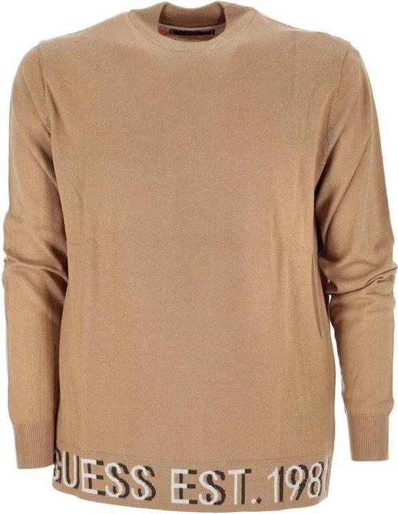 Produktbild Guess Rollkragenpullover ALF LS High Neck Logo Langarmpullover (M)