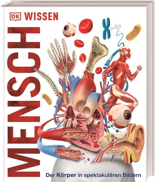 Produktbild Wissen - Mensch (Deutsch, 2018)