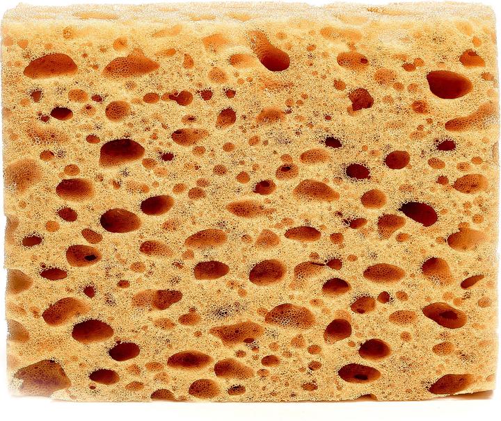 Immagine prodotto Collonil Spugna (1 x)