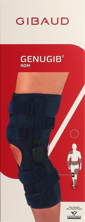Produktbild Gibaud Genugib ROM