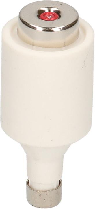 Actual product image Max Hauri Fuse DT, 5 pieces (10 A)