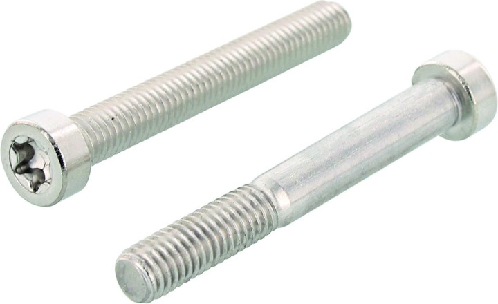 Immagine prodotto OK-Line Viti a testa cilindrica A2 con TX testa bassa ISO 14580 (200 Viti per pezzo)