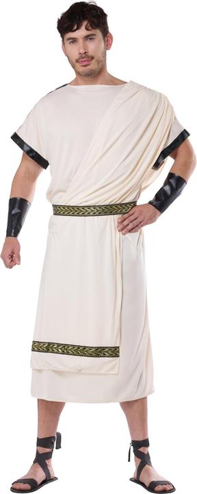Actual product image Metamorph Antike Toga für Herren (M, L)