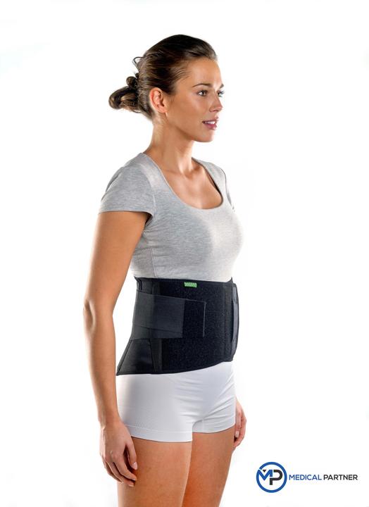 Produktbild BraceID Contoured Back Support (L)