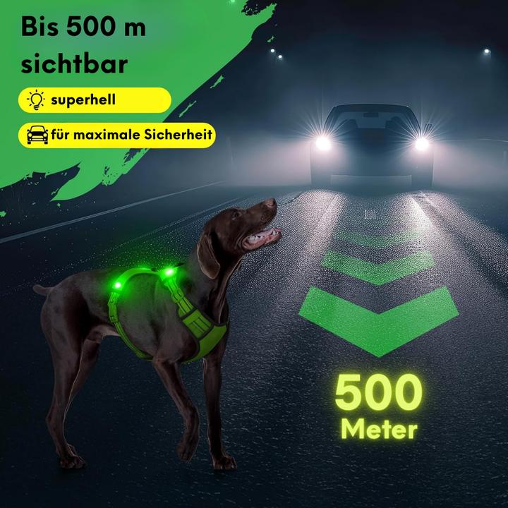 Actual product image Suba LED dog harness (L, Dog, Dog sport, Walks)
