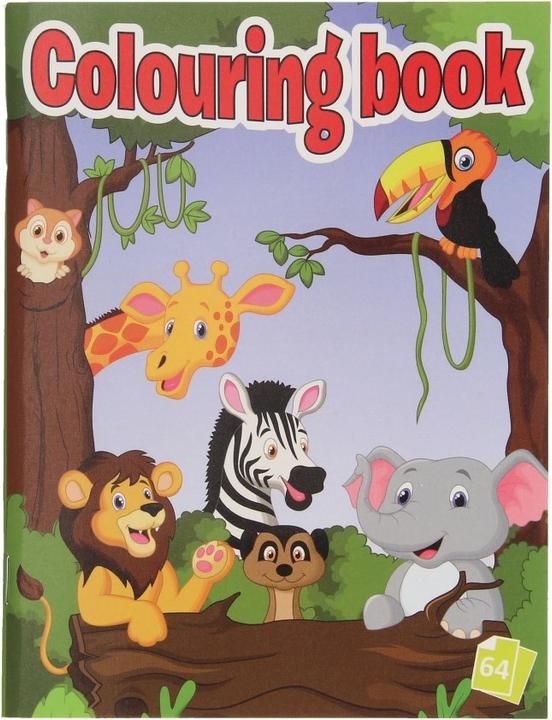 Actual product image Coloring book
