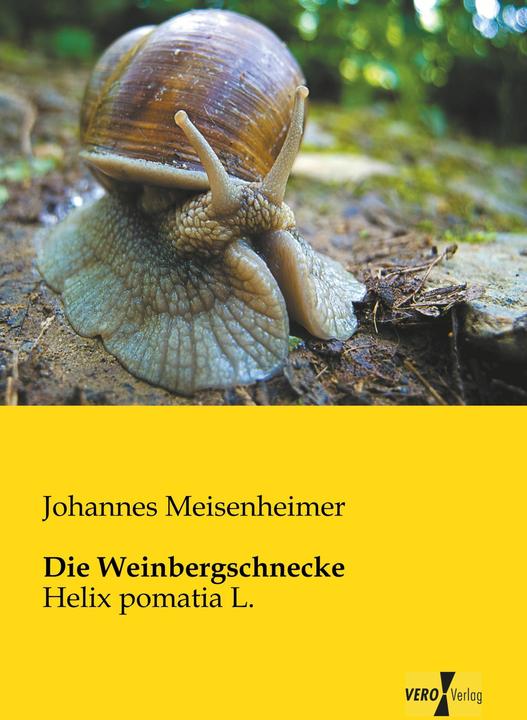 Produktbild Die Weinbergschnecke (Deutsch, Johannes Meisenheimer, 2013)