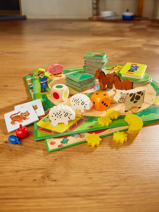Actual product image Haba My first game treasure (German)