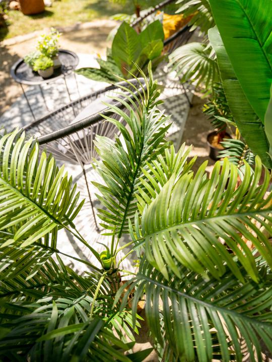 Produktbild Europalms Areca Palme (120 cm)