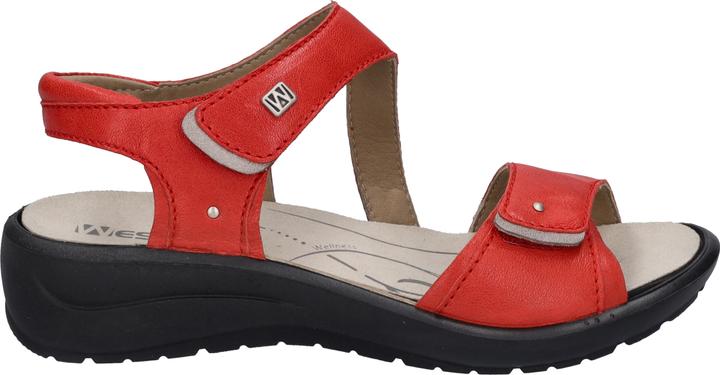 Actual product image Westland 25901-644 (38)