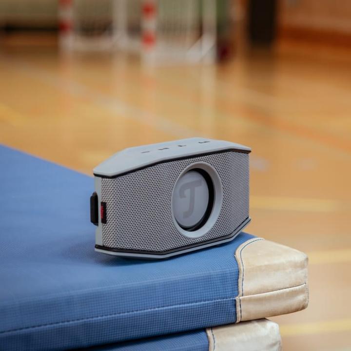 Image du produit Teufel Rockster Go 2 (28 h)