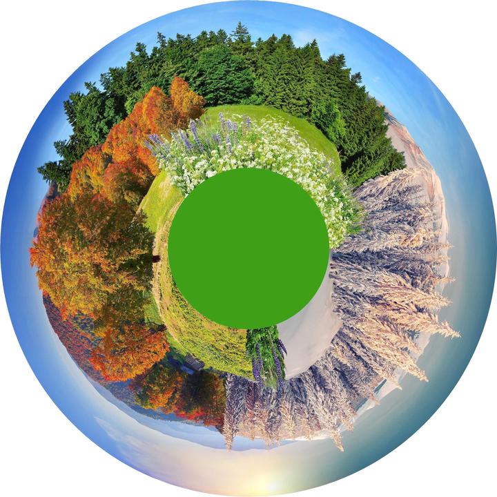 Immagine prodotto Sport-Thieme Ruota d'effetto